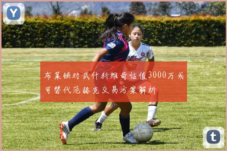 布莱顿对武什科维奇估值3000万或可替代范赫克交易方案解析