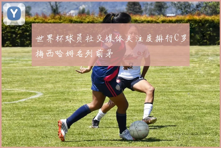 世界杯球员社交媒体关注度排行C罗梅西哈姆名列前茅