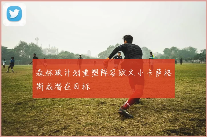 森林狼计划重塑阵容欧文小卡萨格斯成潜在目标