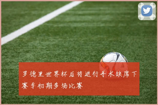 罗德里世界杯后将进行手术缺席下赛季初期多场比赛